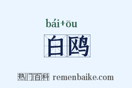白鸥是什么意思的图片